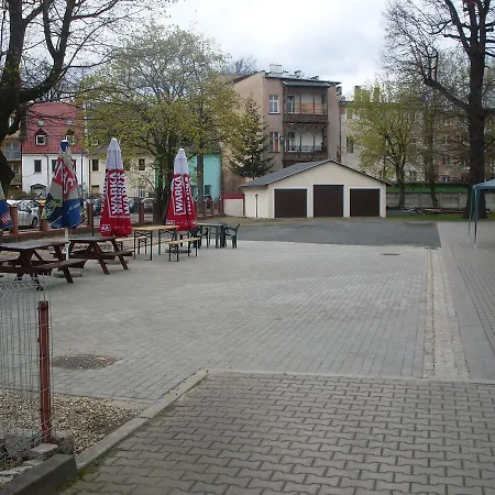 Krokus Kamienna Gora